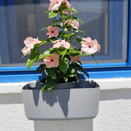 Seaside Soul Studio-cozy Escape *