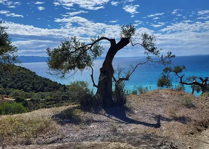 Seaside Soul Studio-cozy Escape Lukove