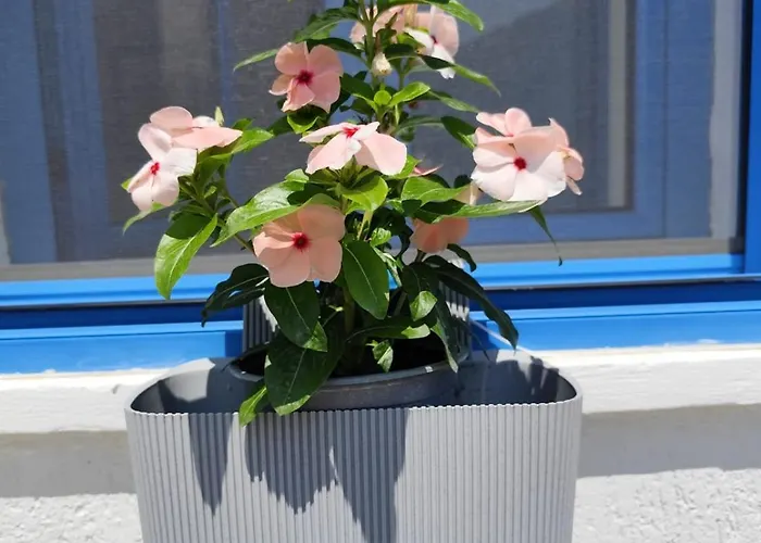 Seaside Soul Studio-cozy Escape *