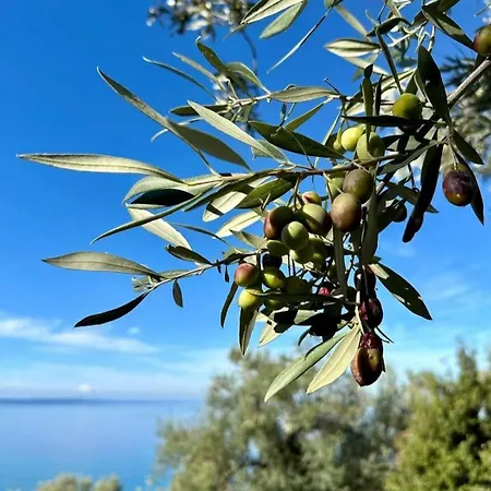 Seaside Soul Studio-cozy Escape Apartamento *